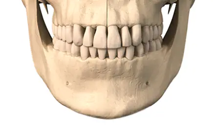 Chin & Genioplasty — Face Chin And Genioplasty